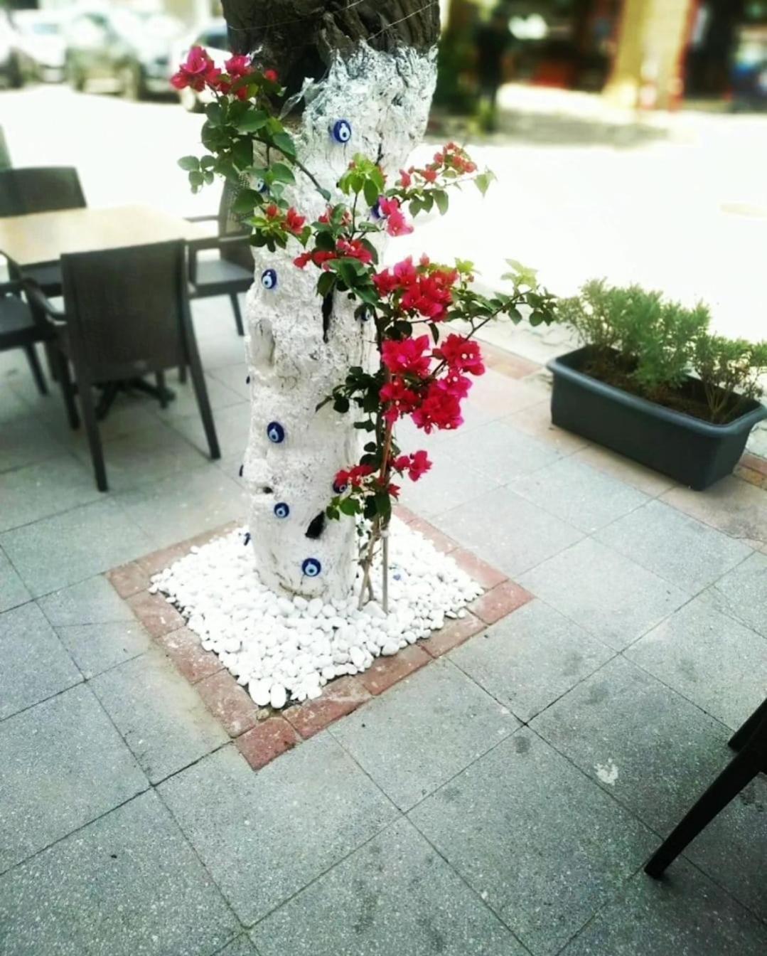 Punta Vista Hotel อิซมีร์ ภายนอก รูปภาพ